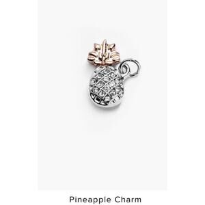 Pineapple Charm from Just Jewelry Brand